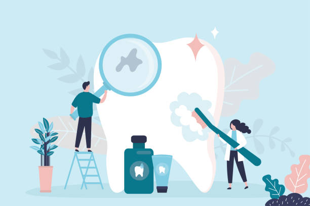 Best Root Canal Treatment  in Holmes Beach, FL